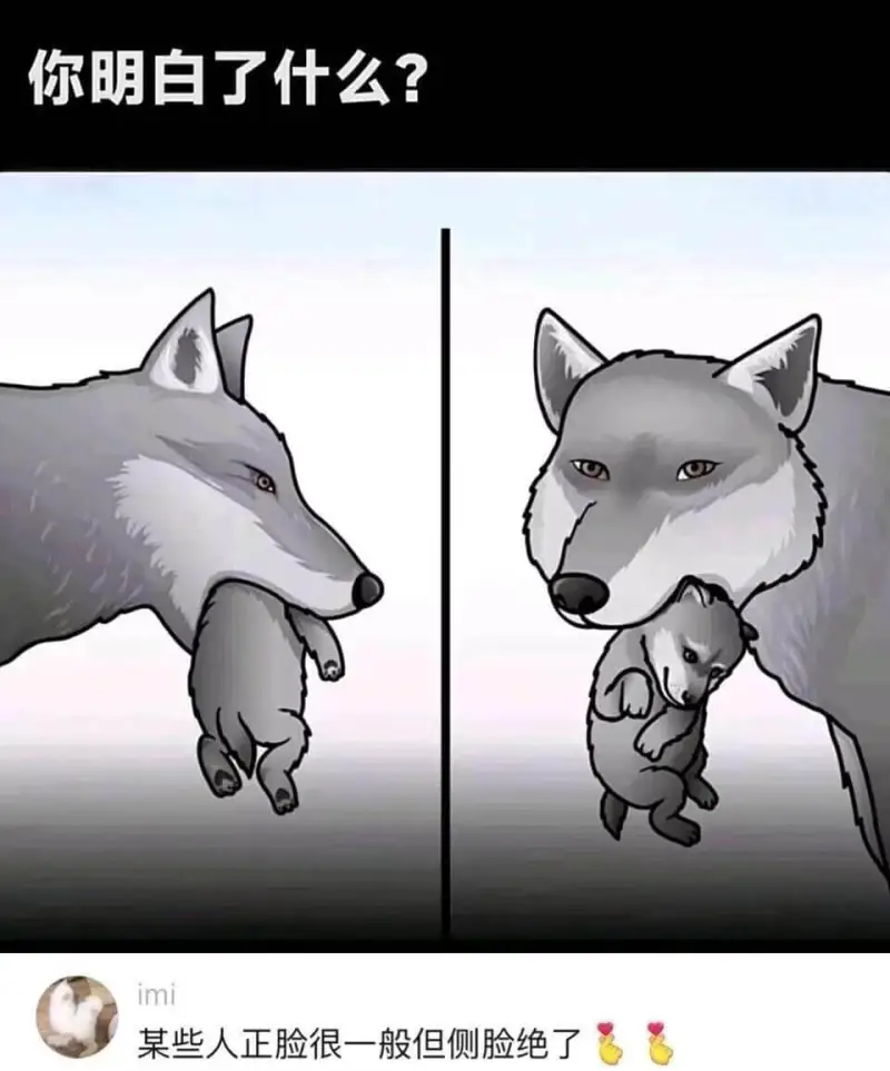 你明白了什么？某些人正脸很一般，但侧脸绝了。