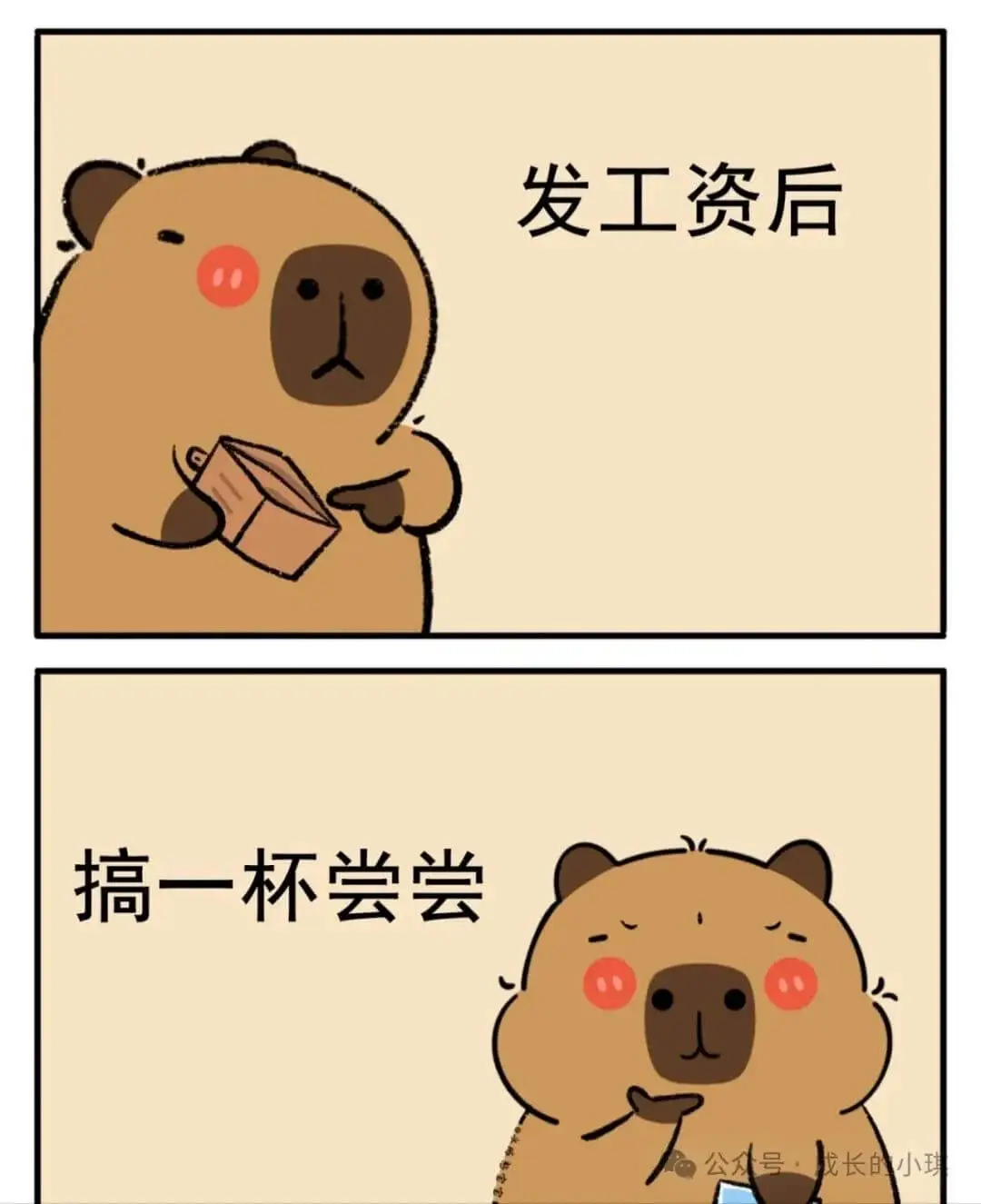 发工资后搞一杯尝尝公众号·成长的小琪