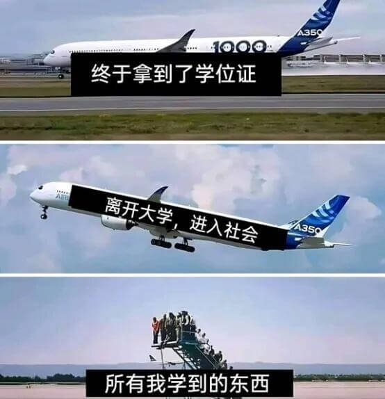 1008终于拿到了学位证，离开大学，进入社会。所有我学到的东