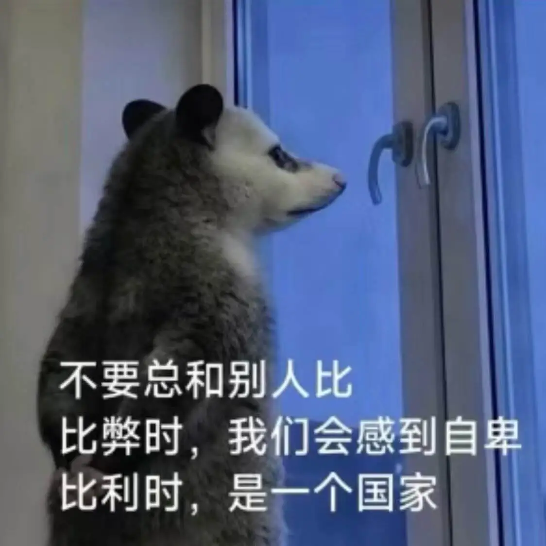 哈哈