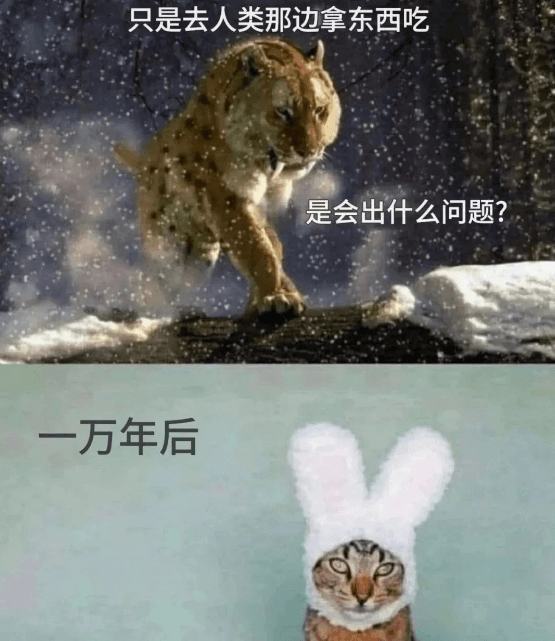 只是去人类那边拿东西吃，是会出什么问题？一万年后