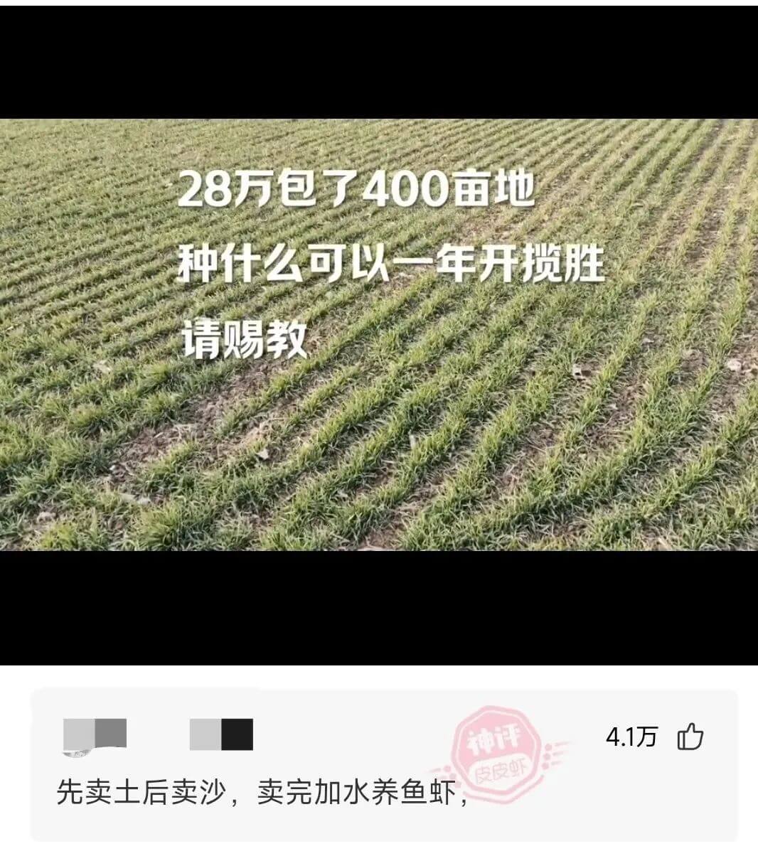 28万包了400亩地种什么可以一年开揽胜请赐教