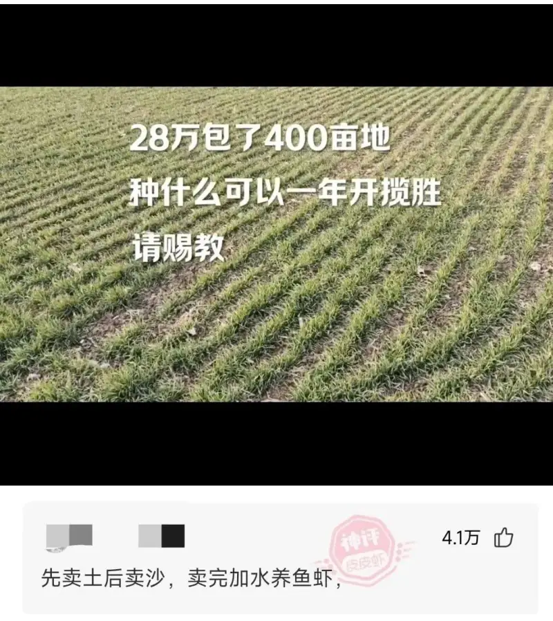 28万包了400亩地种什么可以一年开揽胜请赐教