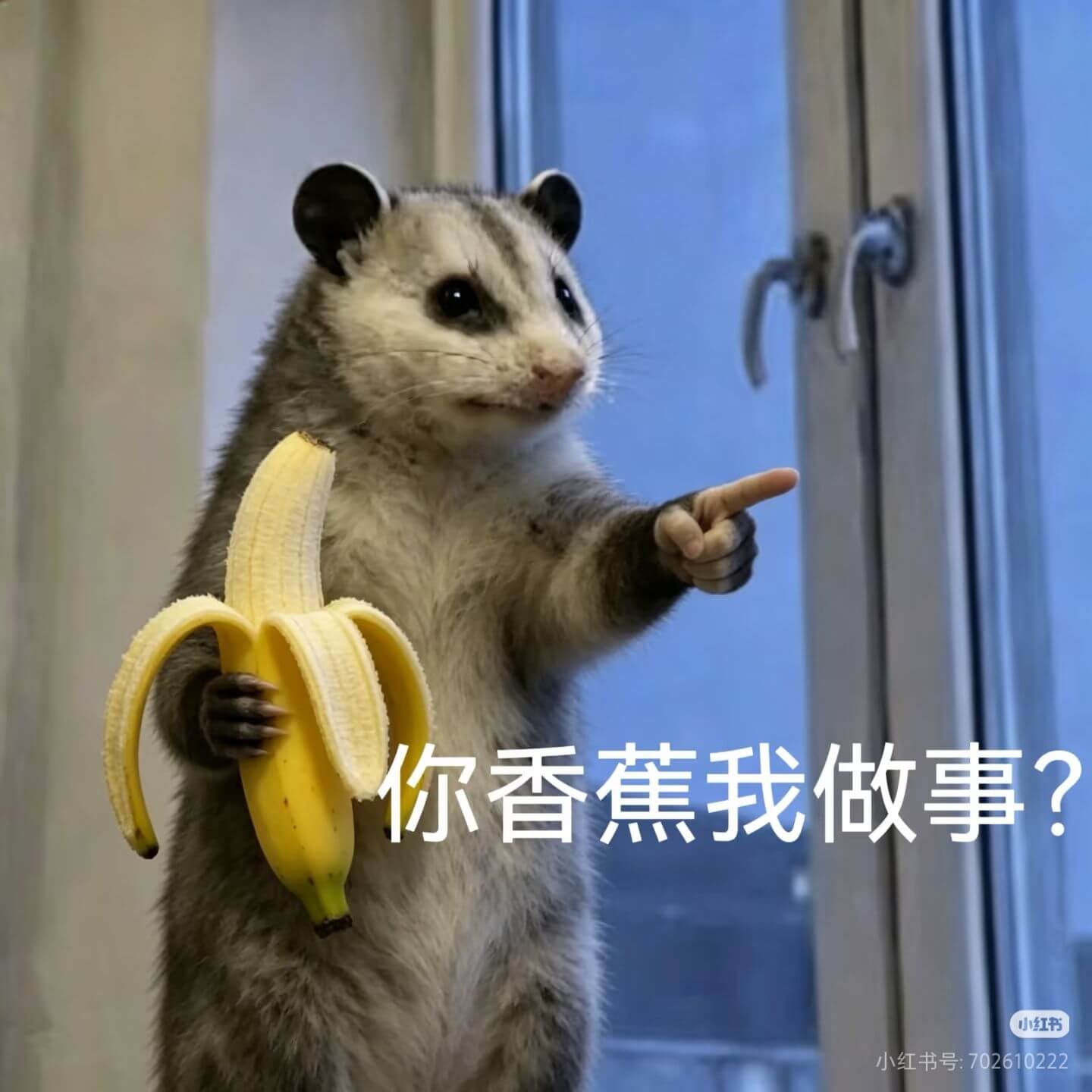你香蕉我做事?小红书小红书号:702610222