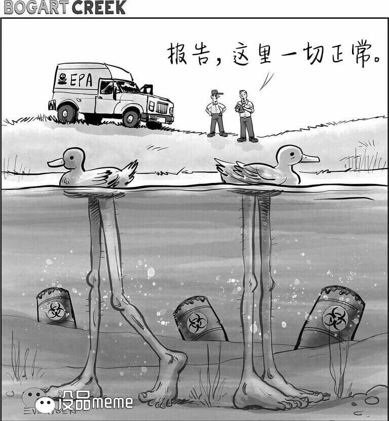 报告，这里一切正常。$EPA设品meme