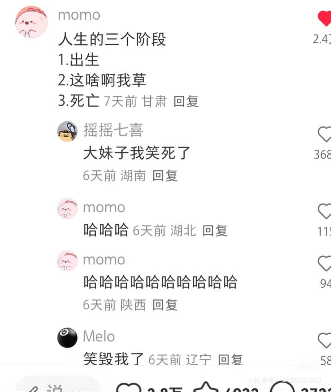 momo人生的三个阶段2.471.出生2.这啥啊我草3.死亡