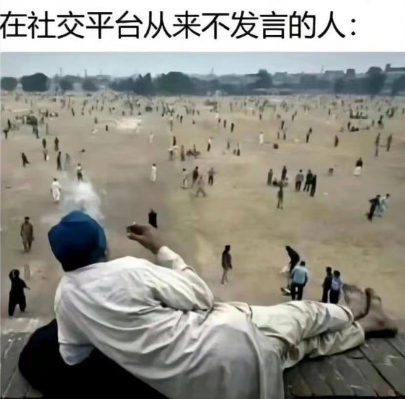 在社交平台从来不发言的人