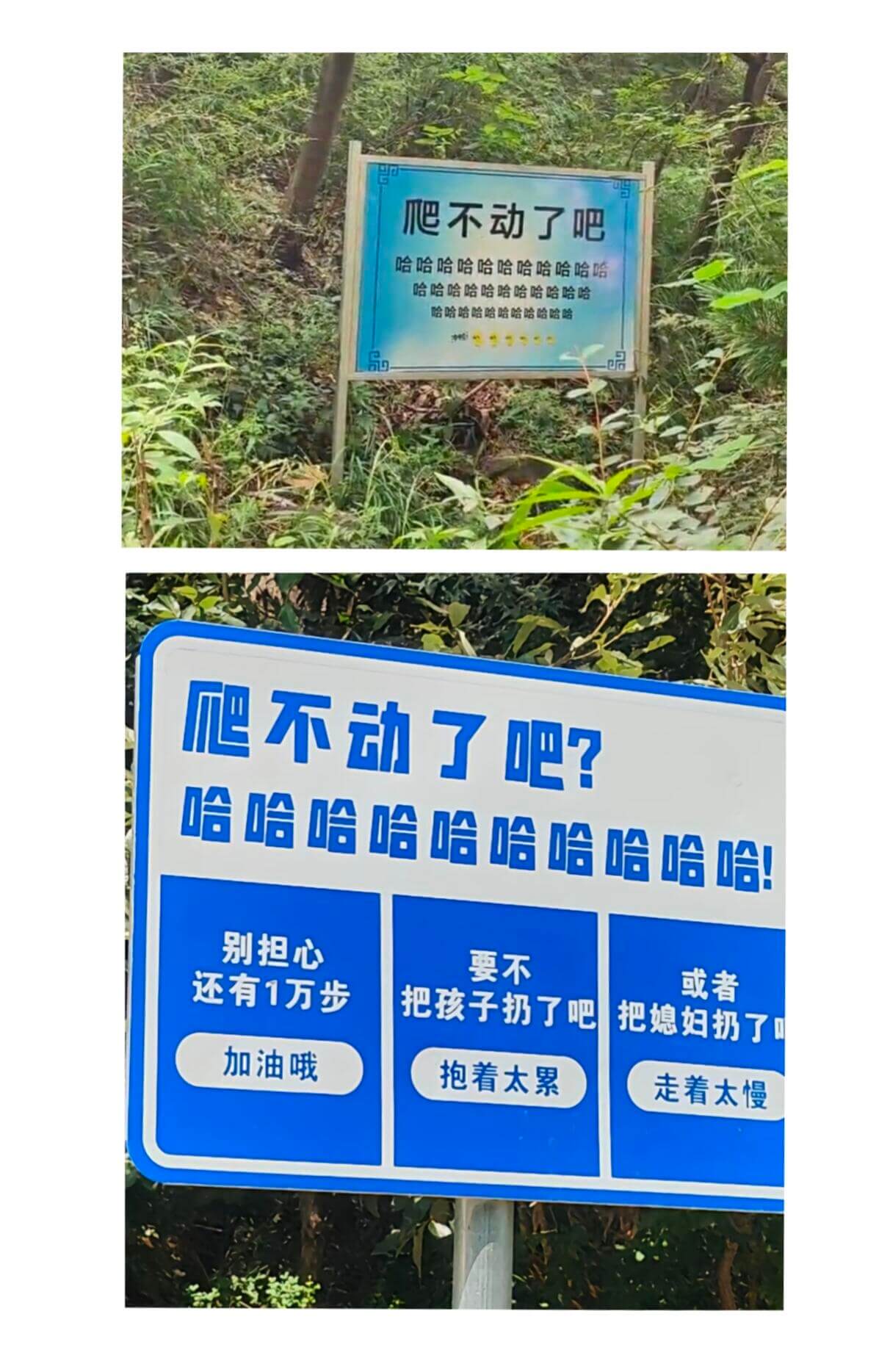 爬不动了吧哈哈哈哈哈哈哈哈哈哈哈哈哈哈哈哈哈哈哈哈哈哈哈哈哈