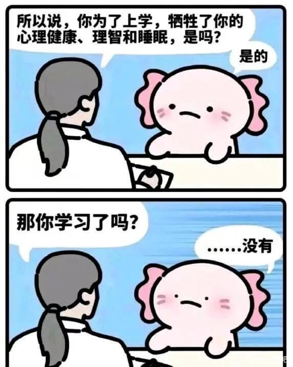 所以说，你为了上学，牺牲了你的心理健康、理智和睡眠，是吗？是