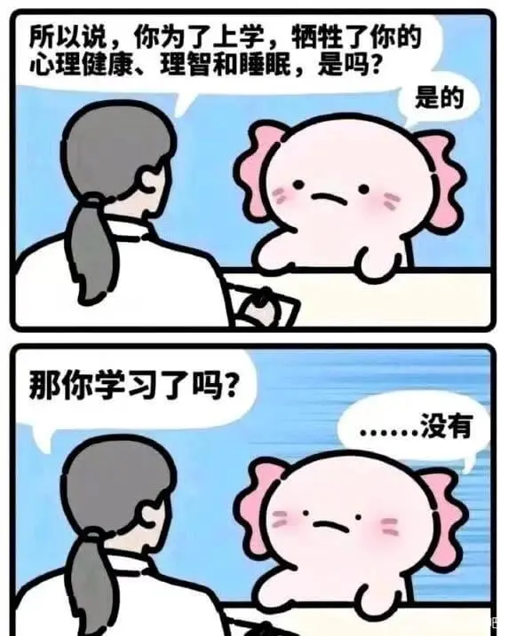 所以说，你为了上学，牺牲了你的心理健康、理智和睡眠，是吗？是