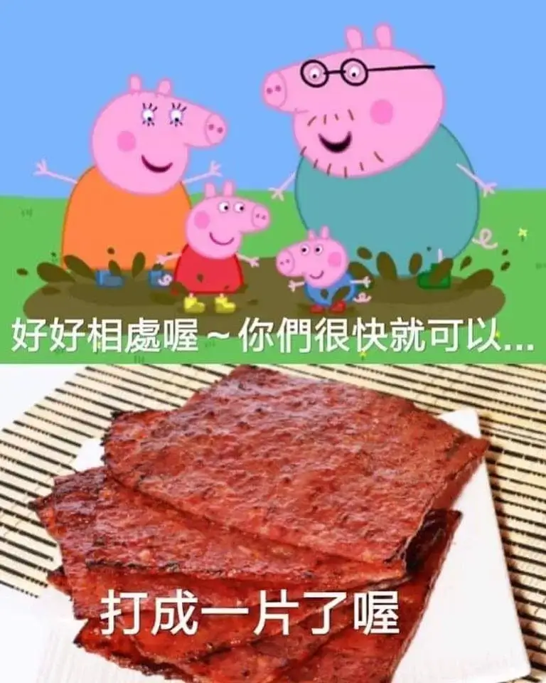 好好相喔～你們很快就可以打成一片了喔