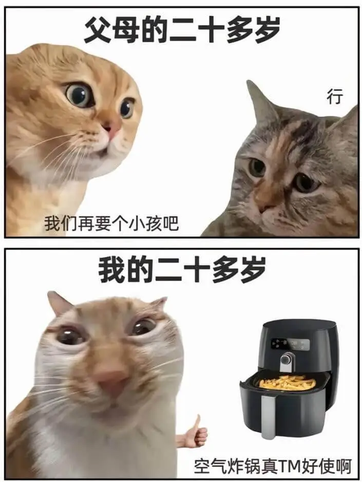 父母的二十多岁我们再要个小孩吧。我的二十多岁，空气炸锅真TM