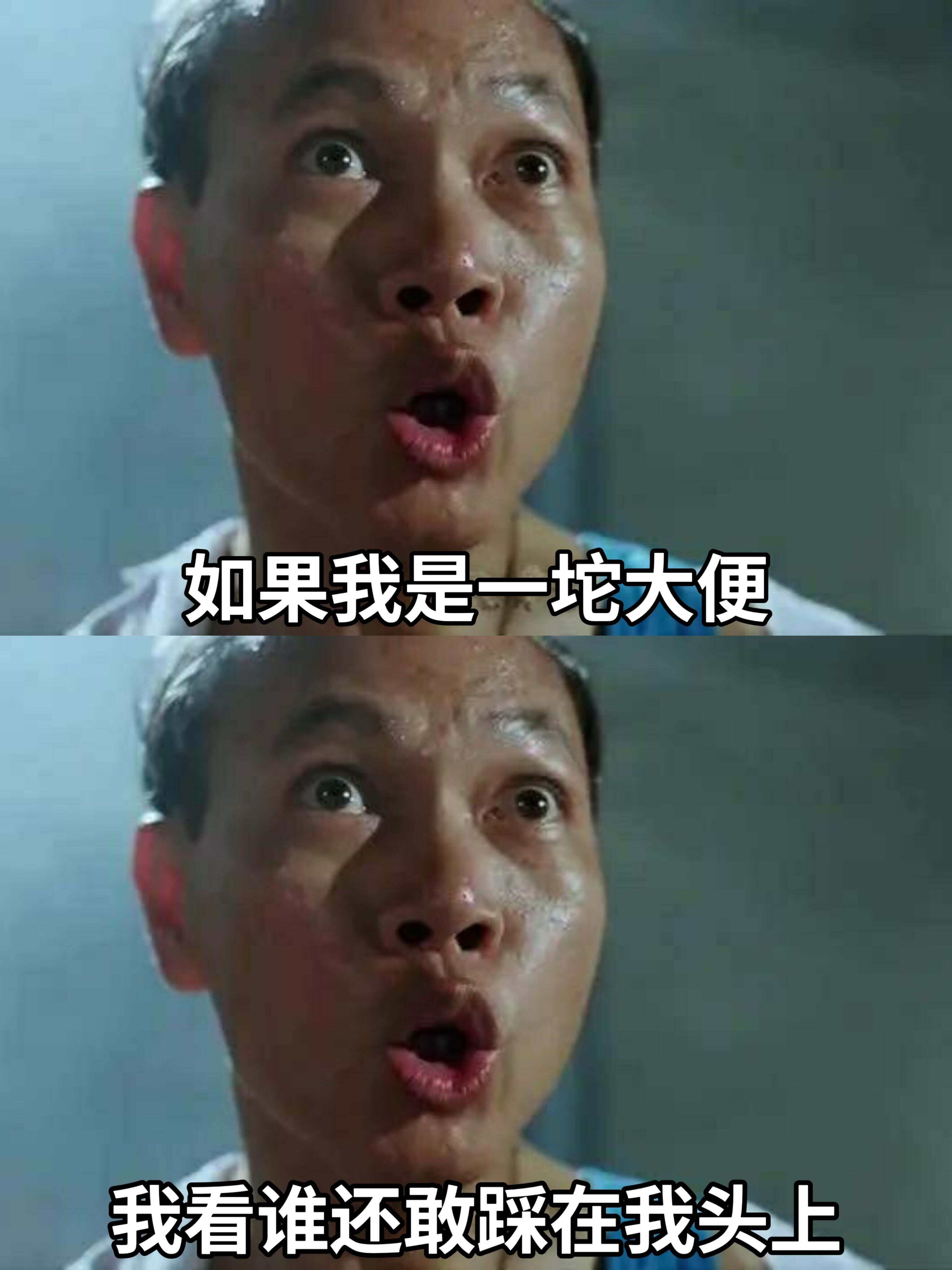 如果我是一坨大便我看谁还敢踩在我头上