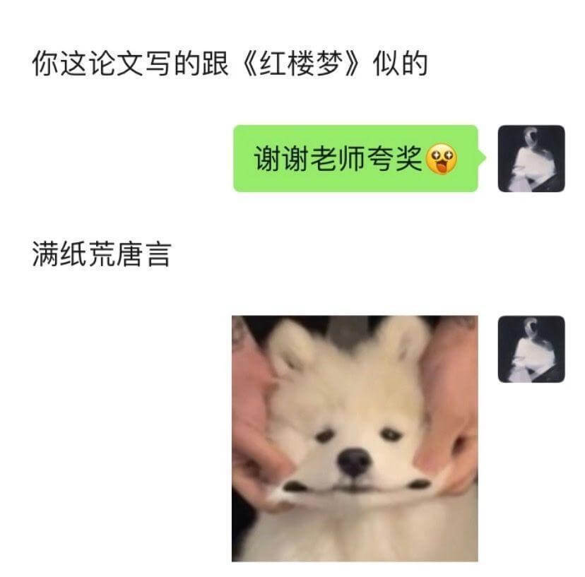你这论文写的跟《红楼梦》似的：满纸荒唐言。谢谢老师夸奖。