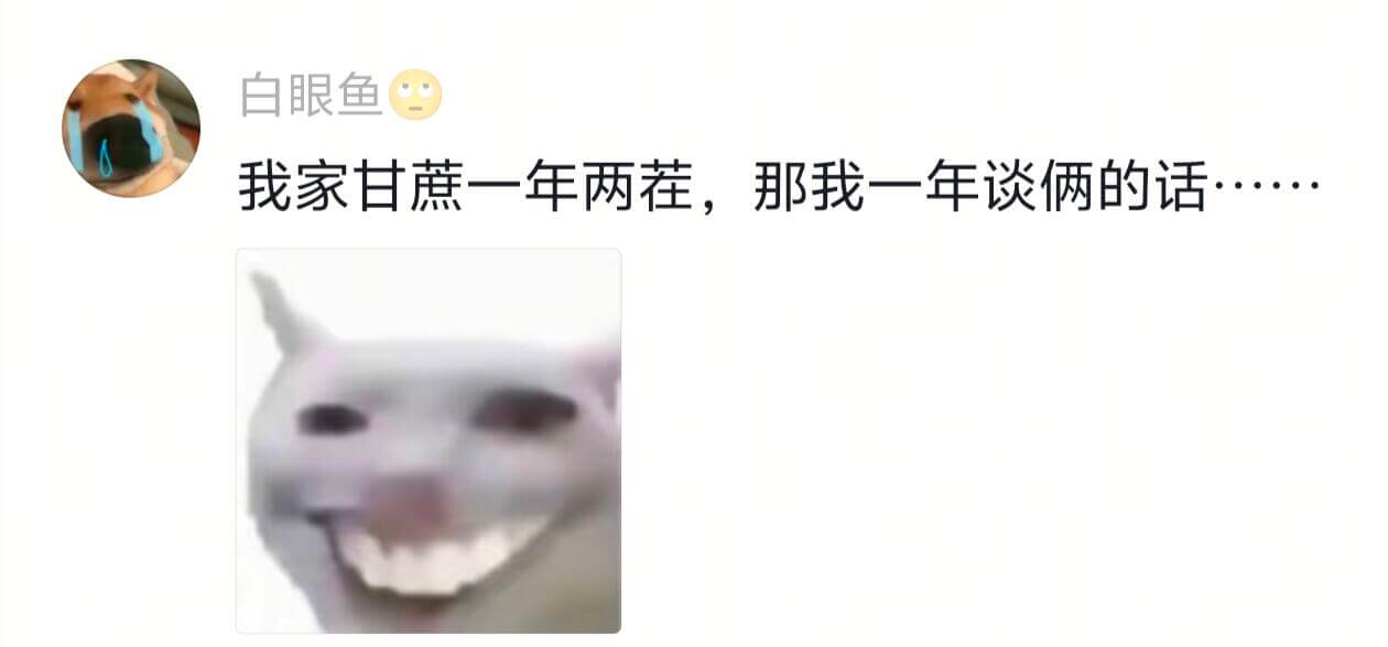 白眼鱼我家甘蔗一年两茬，那我一年谈俩的话···