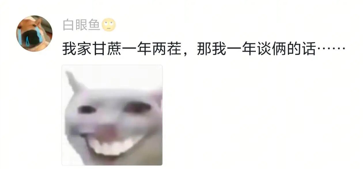 白眼鱼我家甘蔗一年两茬,那我一年谈俩的话···