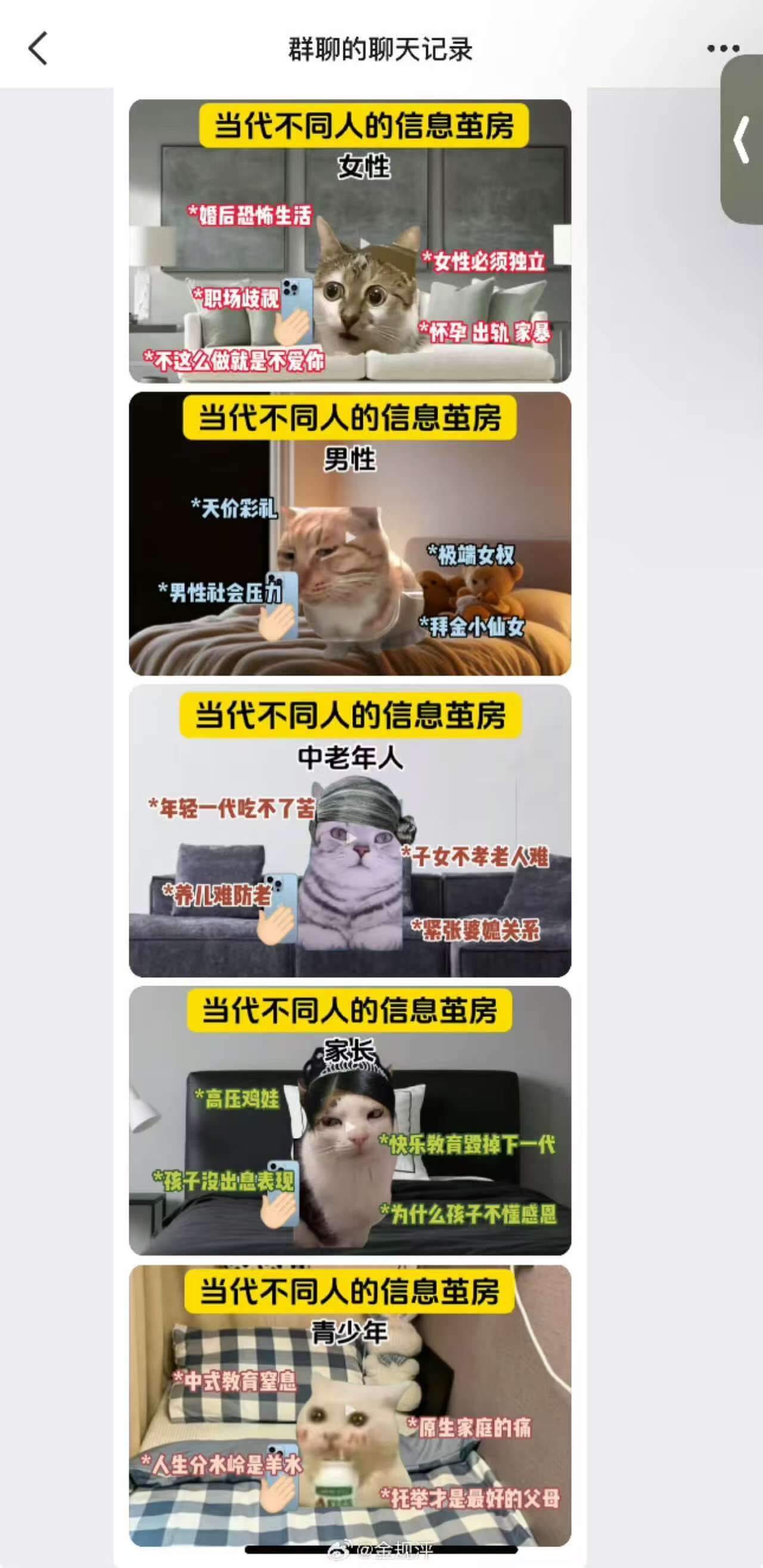 群聊的聊天记录当代不同人的信息茧房女性*婚后恐怖生活*女性必