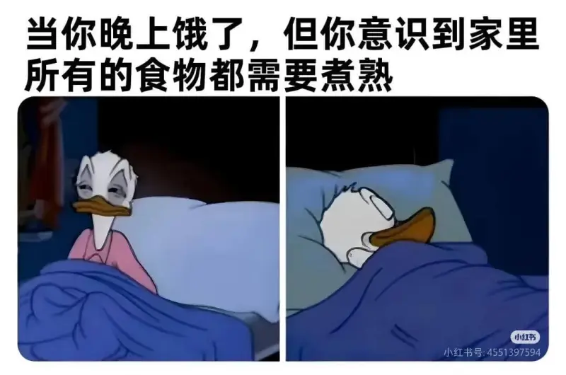 当你晚上饿了，但你意识到家里所有的食物都需要煮熟。小红书小红