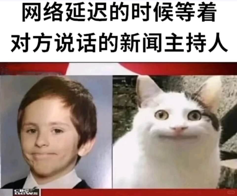 网络延迟的时候等着对方说话的新闻主持人CGWSD