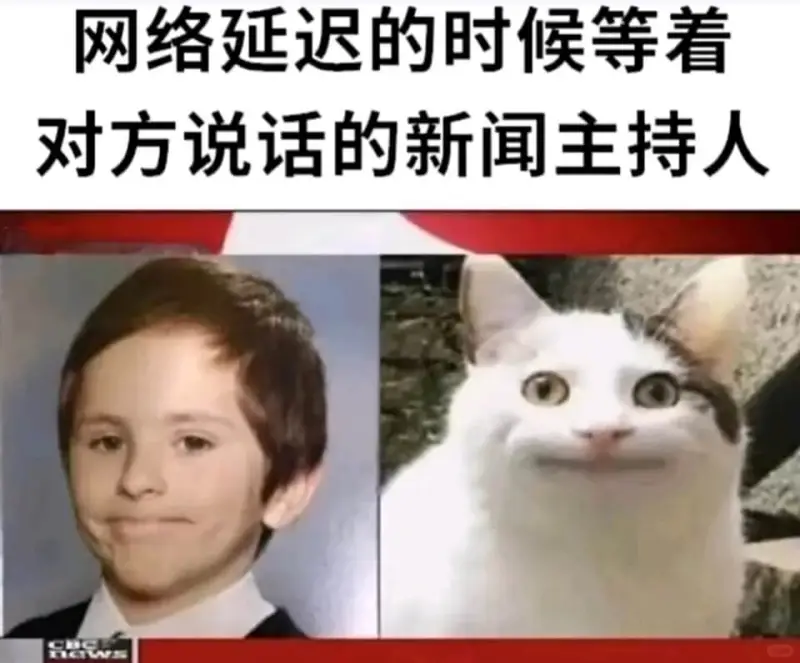 网络延迟的时候等着对方说话的新闻主持人CGWSD
