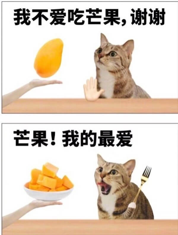 我不爱吃芒果，谢谢芒果！我的最爱