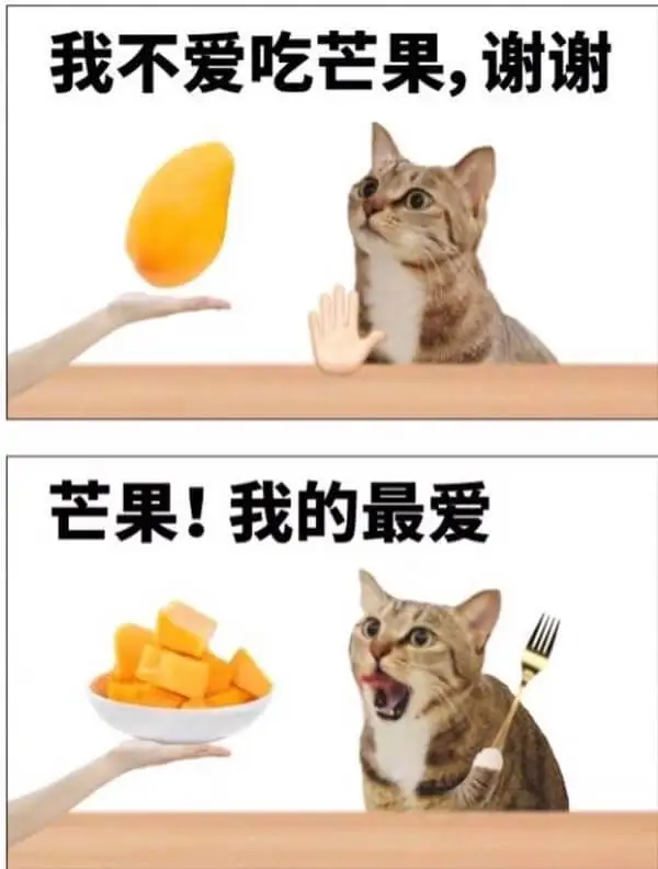 我不爱吃芒果，谢谢芒果！我的最爱
