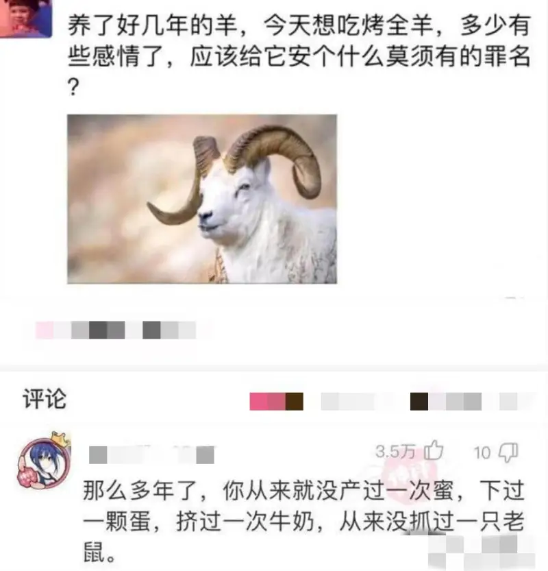 养了好几年的羊，今天想吃烤全羊，多少有些感情了，应该给它安个