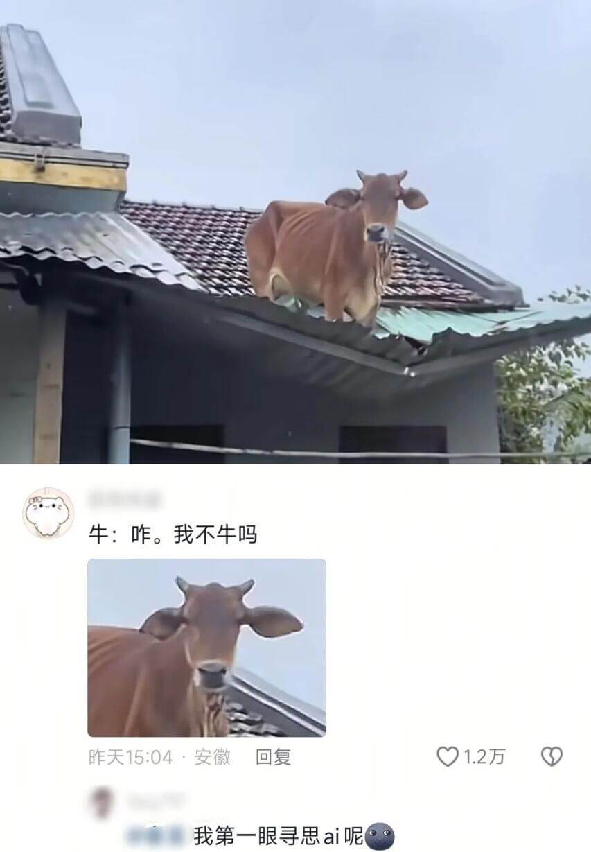 牛：咋。我不牛吗？昨天15:04·安徽回复01.2万我第一眼