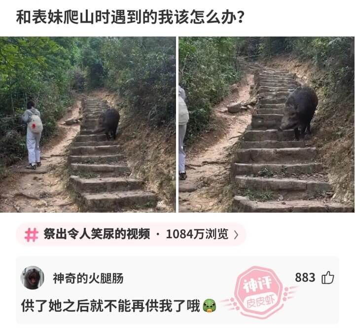 和表妹爬山时遇到的我该怎么办?祭出令人笑尿的视频·1084万