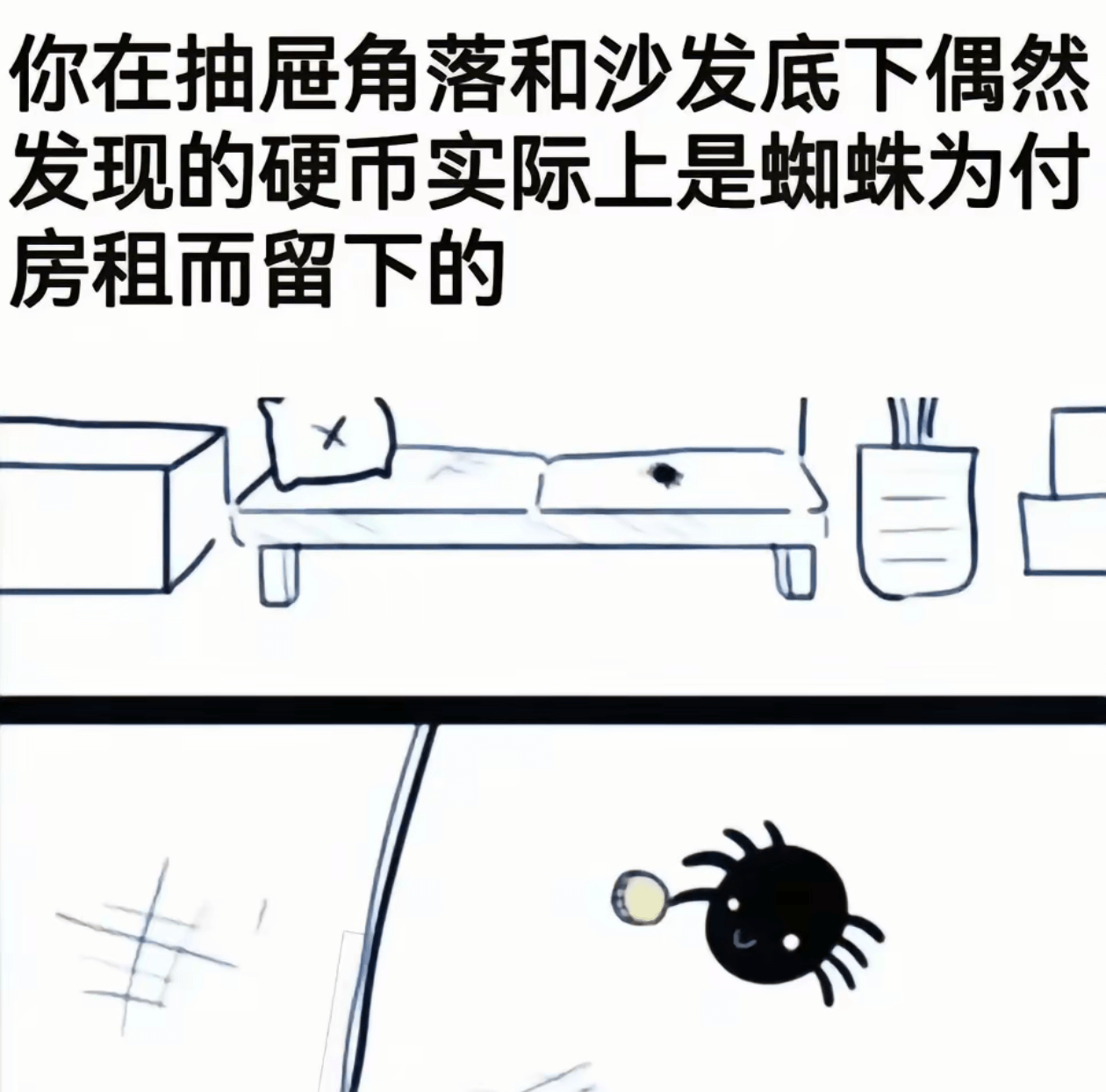 你在抽屉角落和沙发底下偶然发现的硬币实际上是蜘蛛为付房租而留