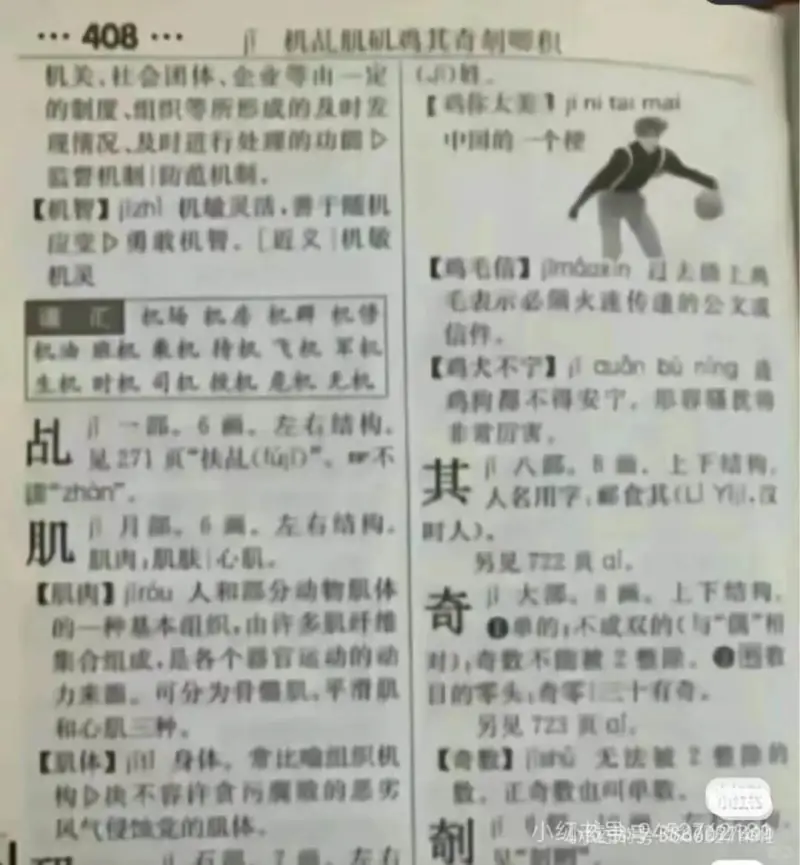 ...408...机品机机鸡其奇刺哪机机关、社会团体、企业等