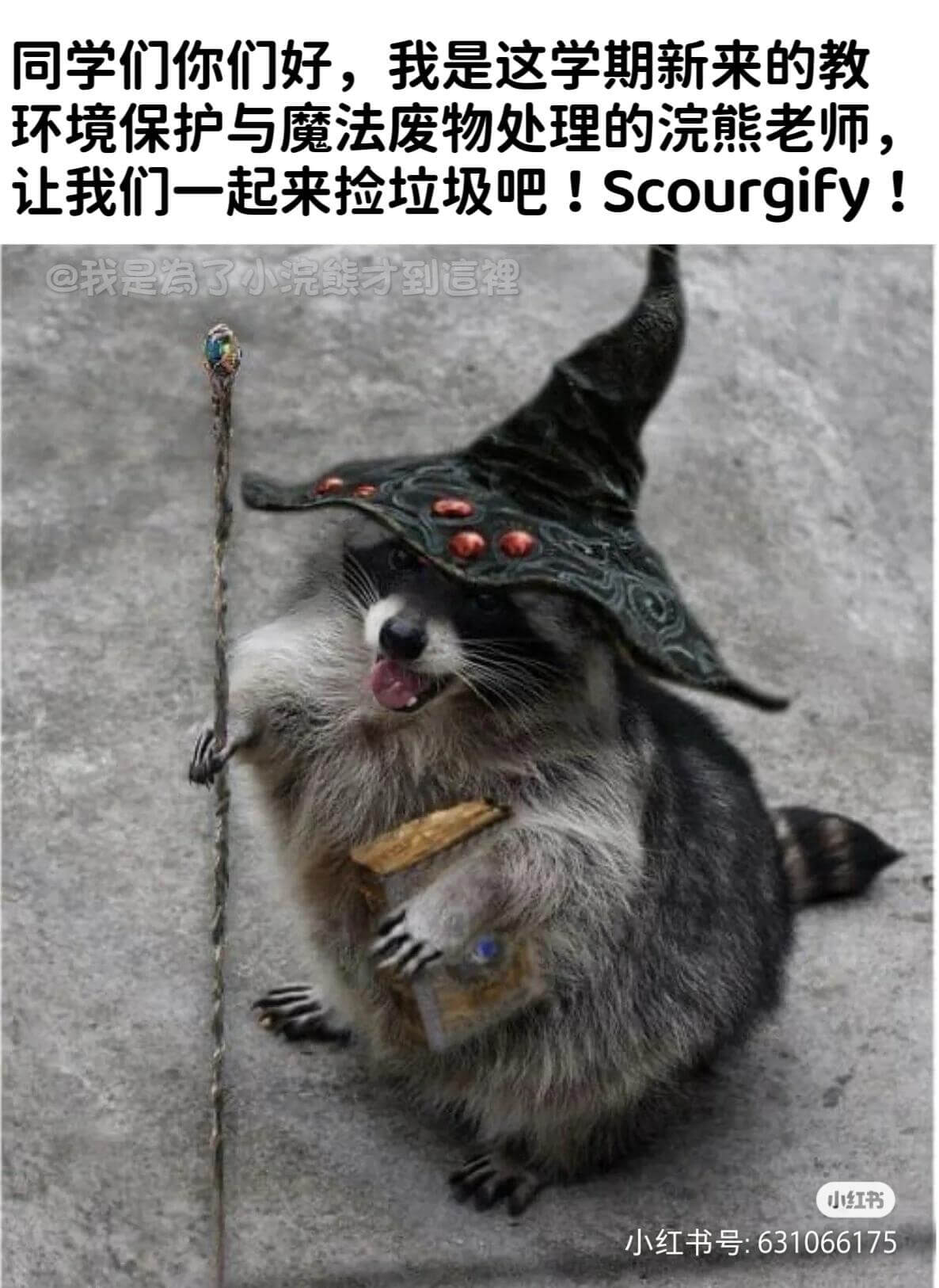 同学们你们好，我是这学期新来的教环境保护与魔法废物处理的浣熊