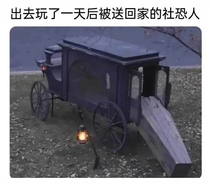 出去玩了一天后被送回家的社恐人