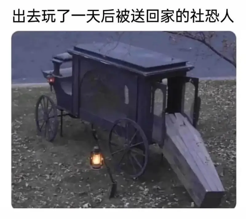 出去玩了一天后被送回家的社恐人