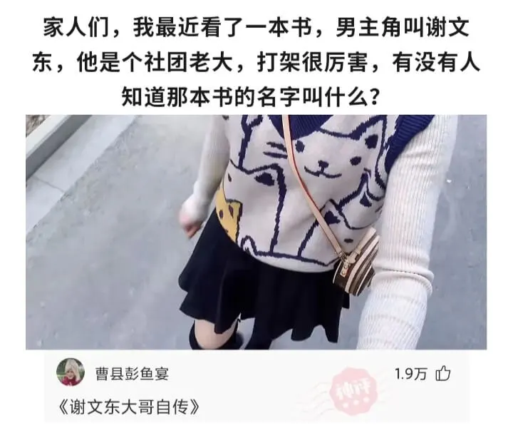 家人们，我最近看了一本书，男主角叫谢文东，他是个社团老大，打