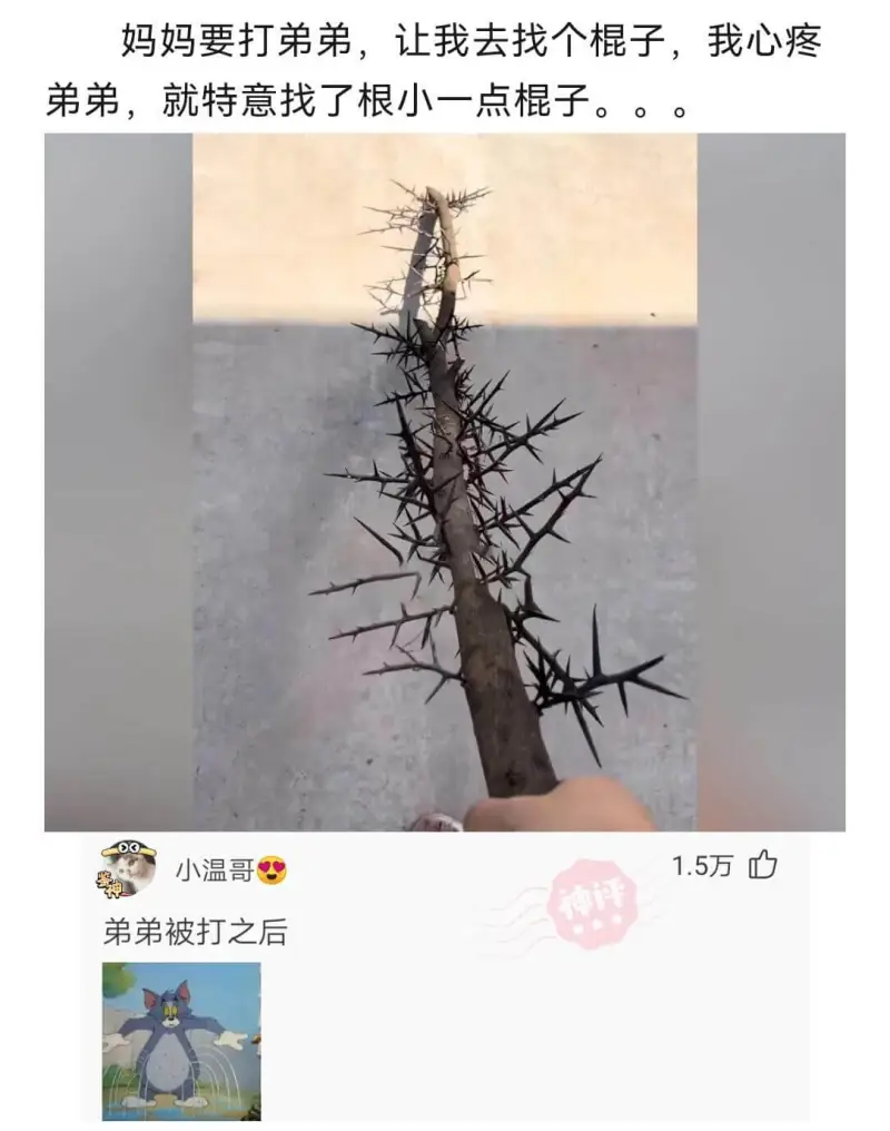 妈妈要打弟弟，让我去找个棍子。我心疼弟弟，就特意找了根小一点