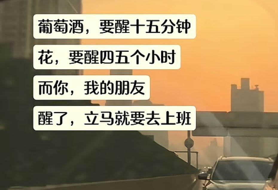 葡萄酒，要醒十五分钟花，要醒四五个小时而你，我的朋友，醒了，