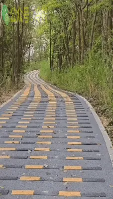 肾结石的救赎之路