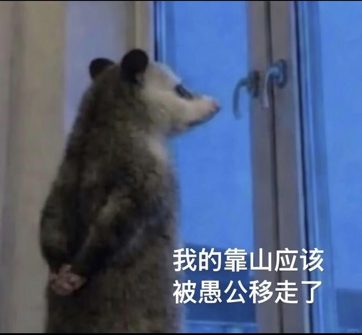 我的靠山应该被愚公移走了