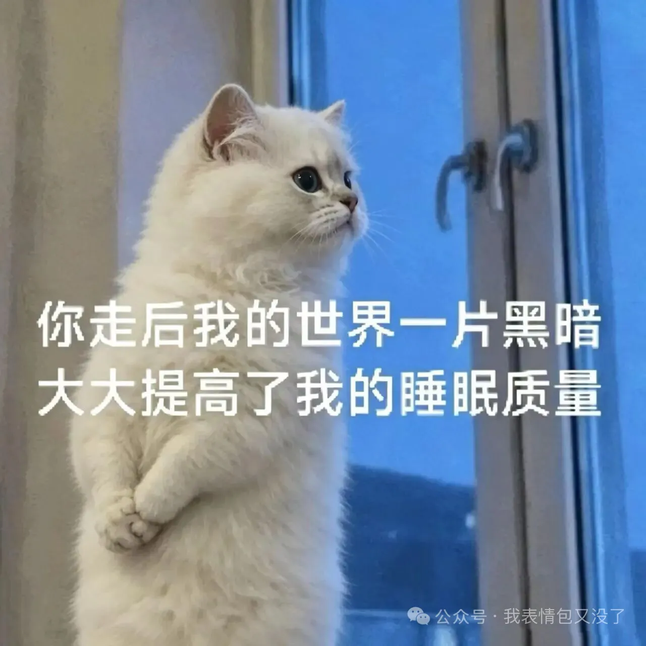 梗图