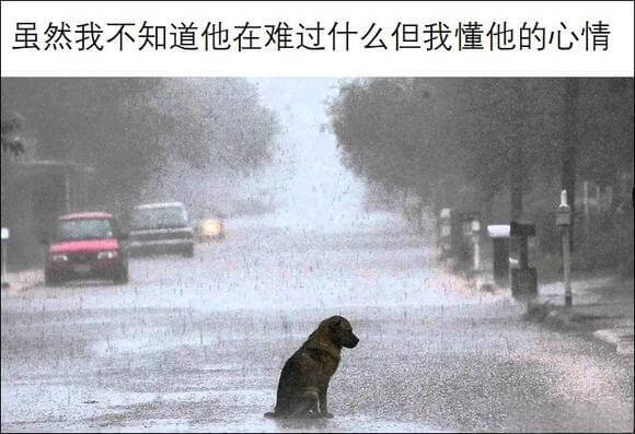 虽然我不知道他在难过什么但我懂他的心情