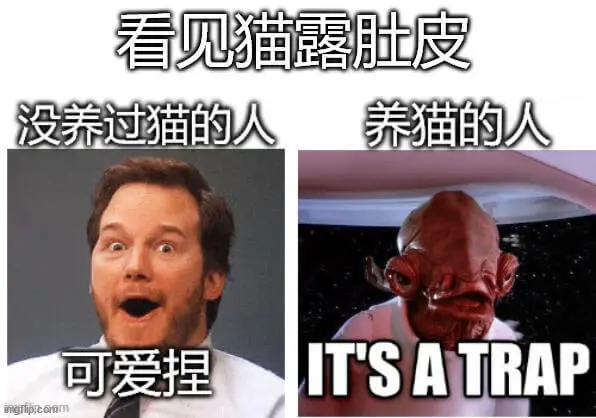 看见猫露肚皮没养过猫的人：可爱捏养猫的人：ITSATRAPi