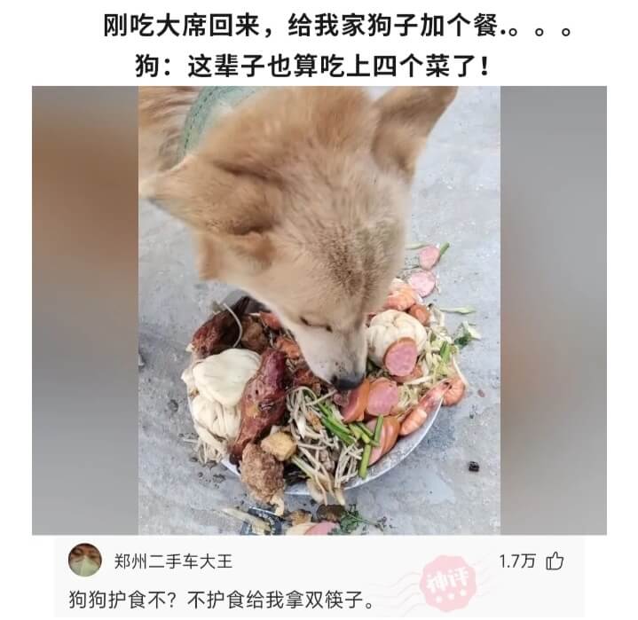 刚吃大席回来，给我家狗子加个餐。狗：这辈子也算吃上四个菜了！