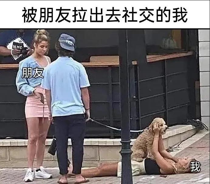 被朋友拉出去社交的我朋友我