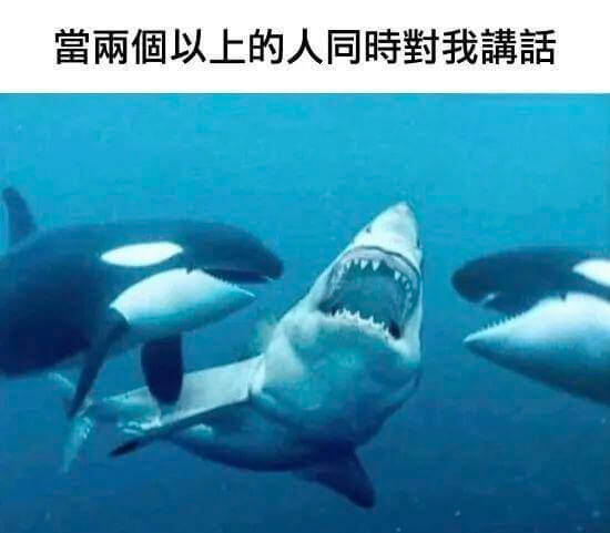 当雨个以上的人同时對我護