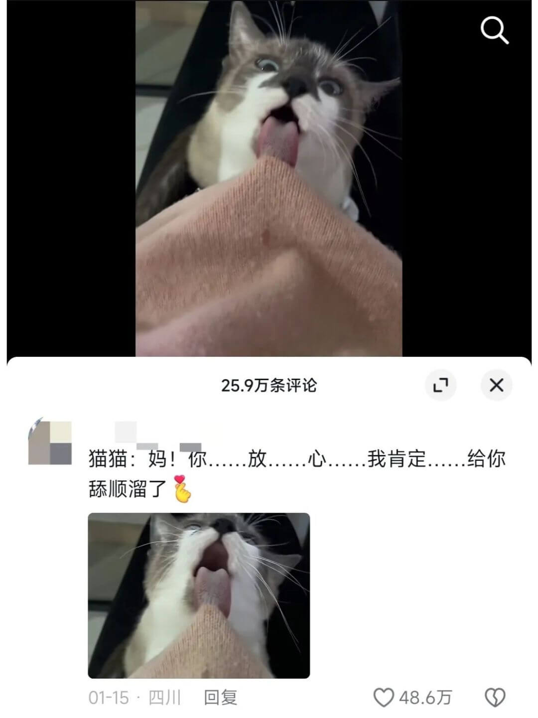 25.9万条评论X猫猫:妈!你舔顺溜了01-15·四川回复4