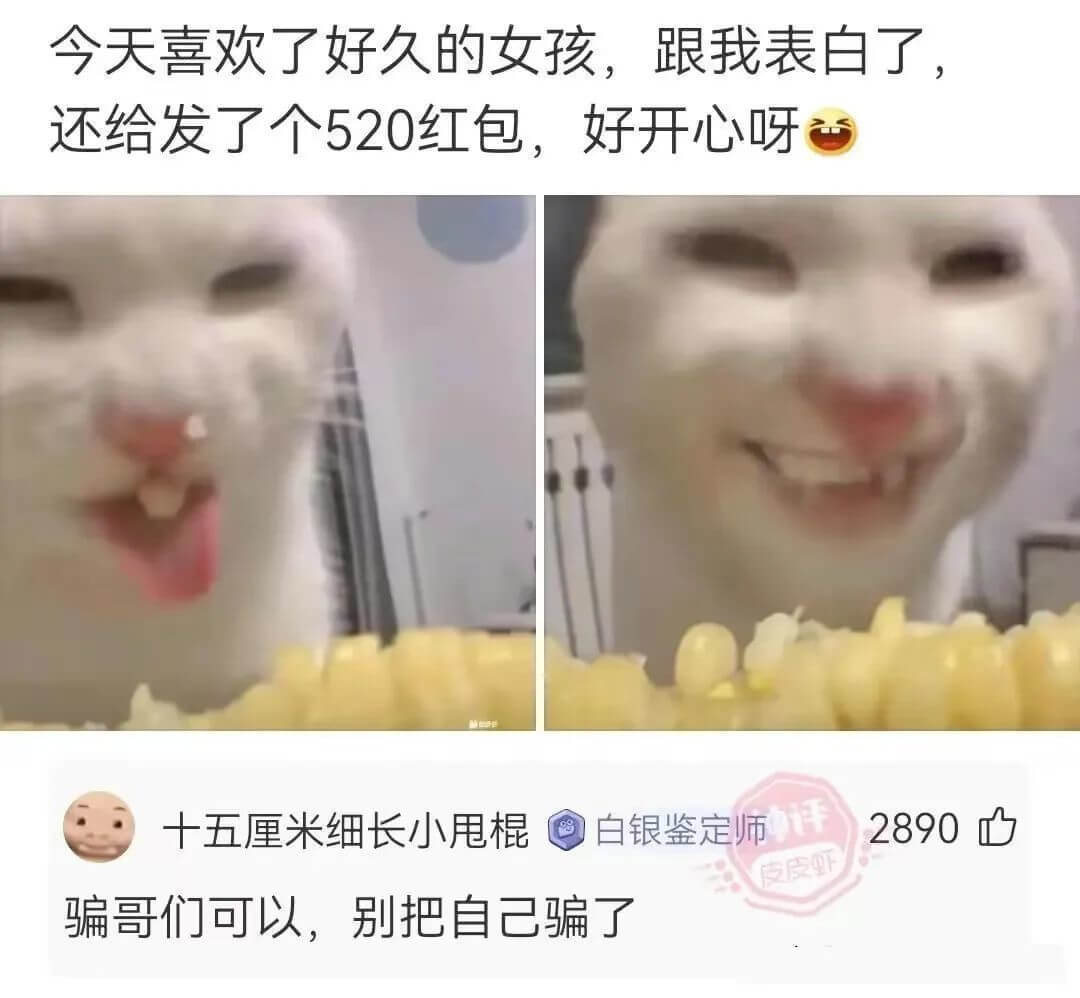 今天喜欢了好久的女孩，跟我表白了，还给发了个520红包，好开
