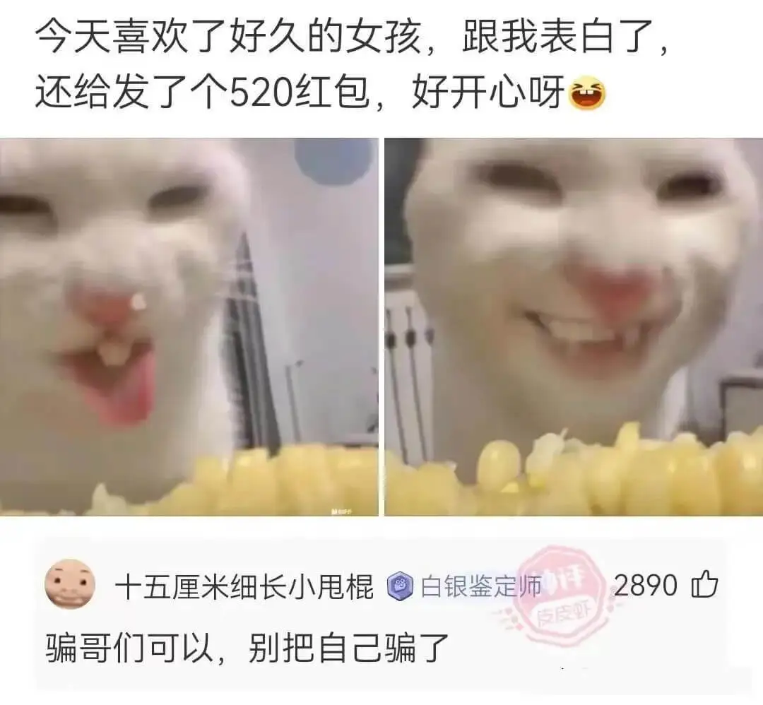 今天喜欢了好久的女孩，跟我表白了，还给发了个520红包，好开