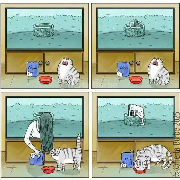 梗图