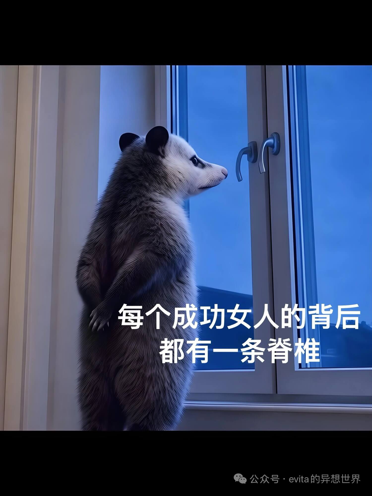 每个成功女人的背后,都有一条脊椎。公众号·evita的异想世